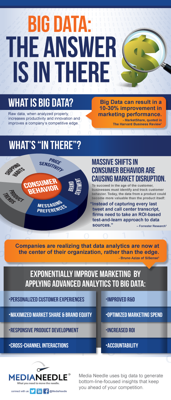 BigData MediaNeedle